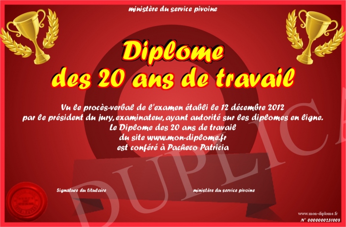 diplome 20 ans de travail